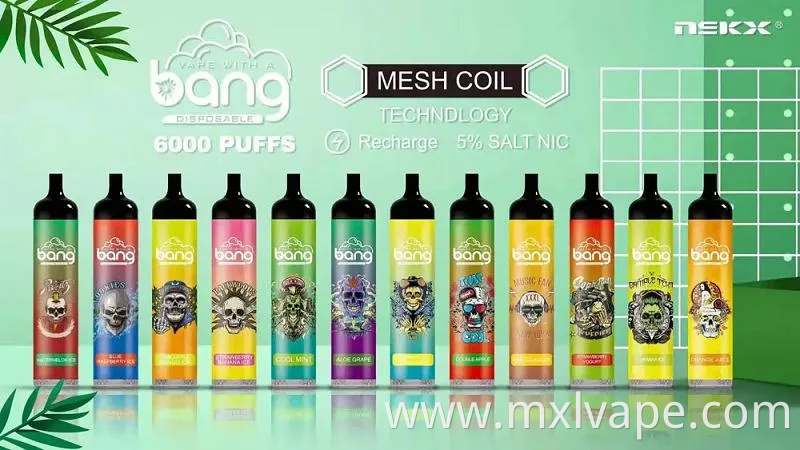 2023 Cheap Vaporizer Disposable Bang Vapes Big Puffs Vapor Bang King 6000